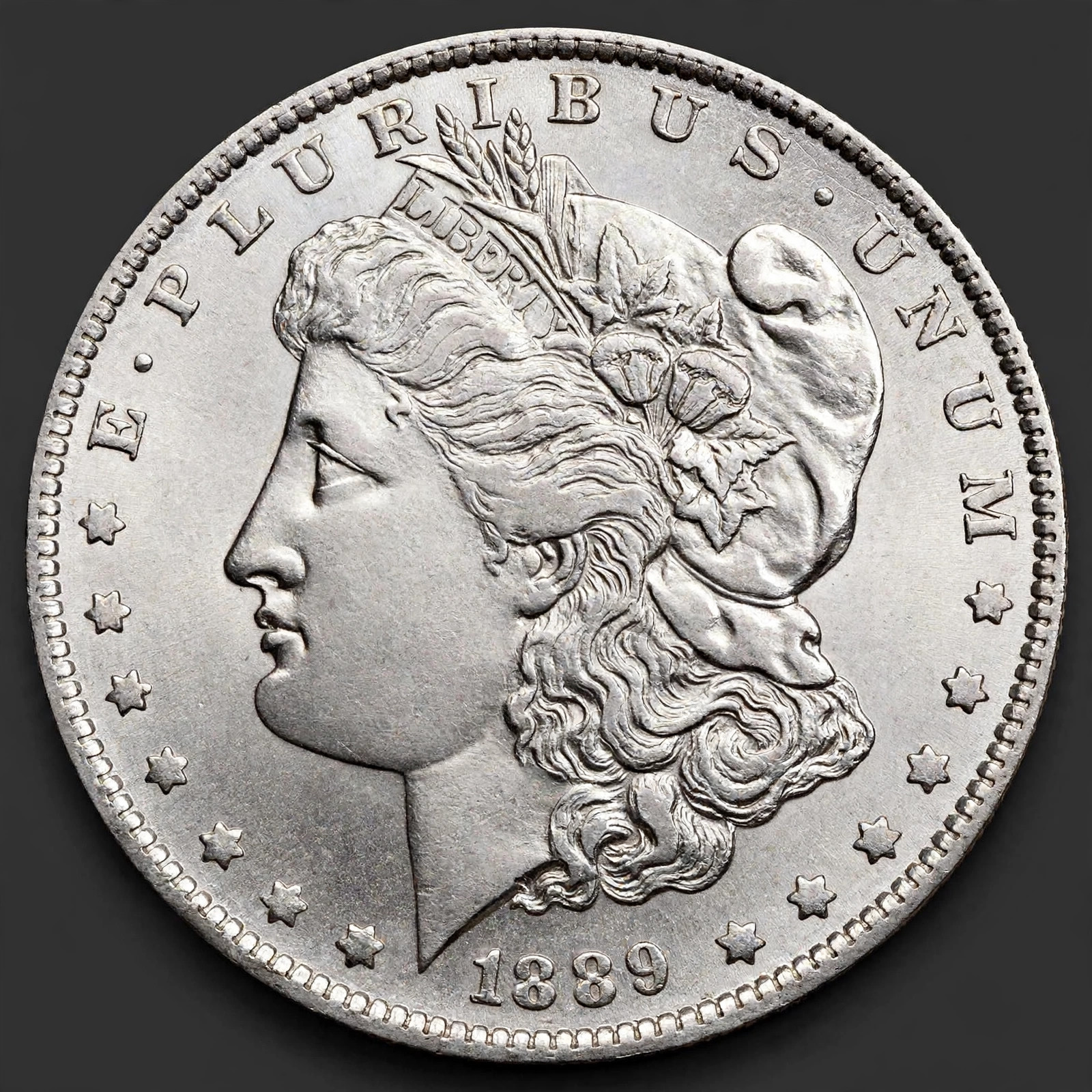 Illustration placeholder: 1889-CC Morgan dollar (no verified reusable photograph found)