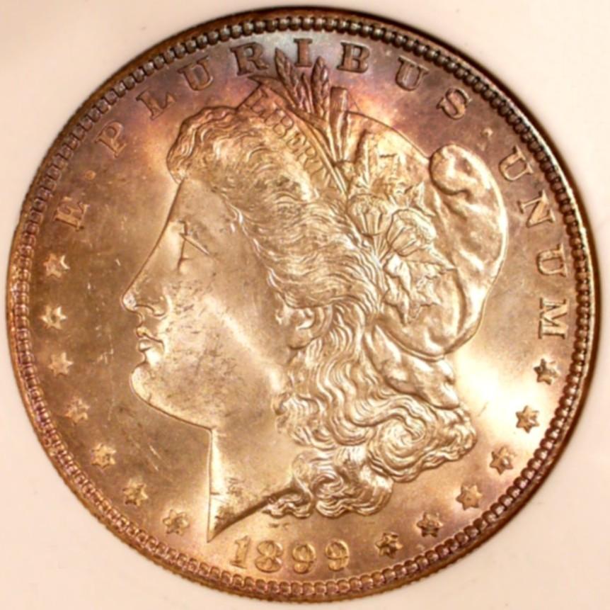 Morgan Silver Dollar